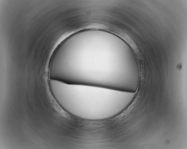 X0000102341044200808010908