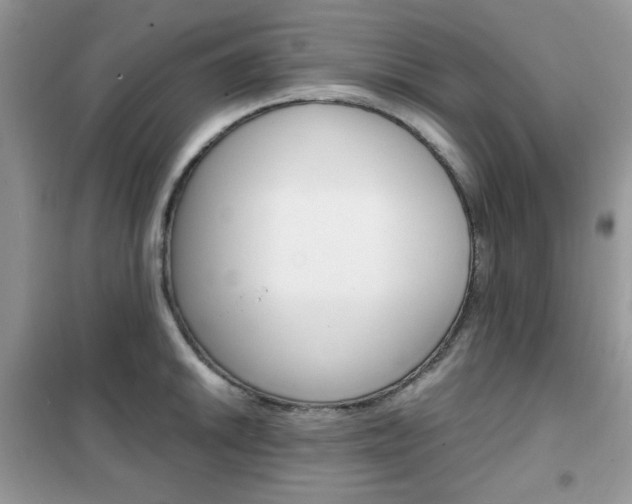 X0000102341046200808010908