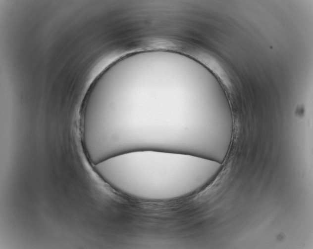 X0000102341047200808010908