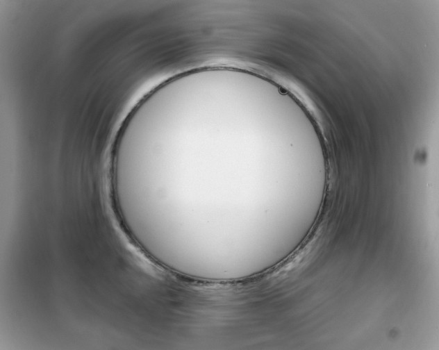 X0000102341048200808010908