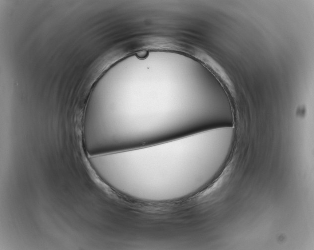 X0000102341049200808010908