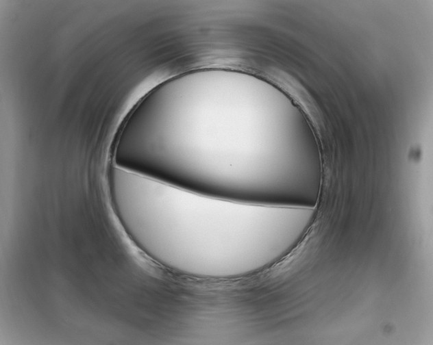 X0000102341050200808010908