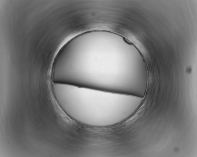 X0000102341052200808010908