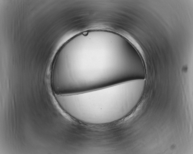 X0000102341053200808010908