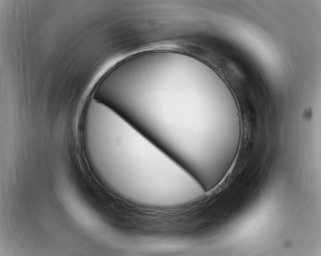 X0000102341054200808010908