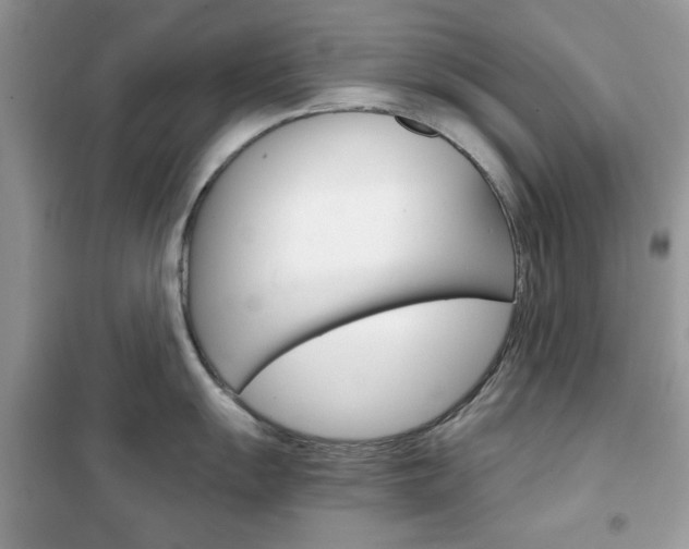 X0000102341055200808010908