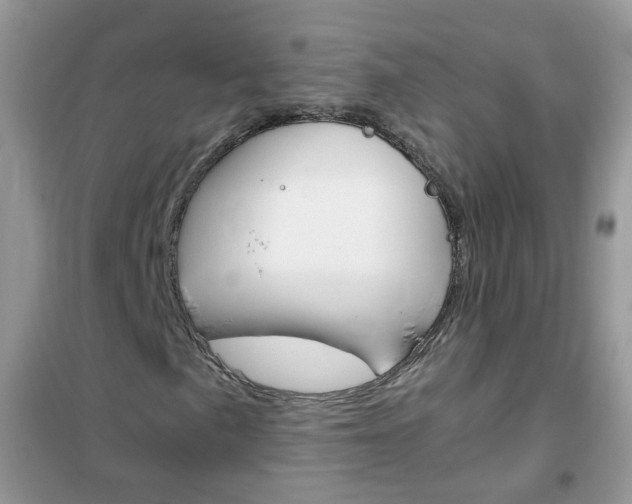 X0000102341057200808010907