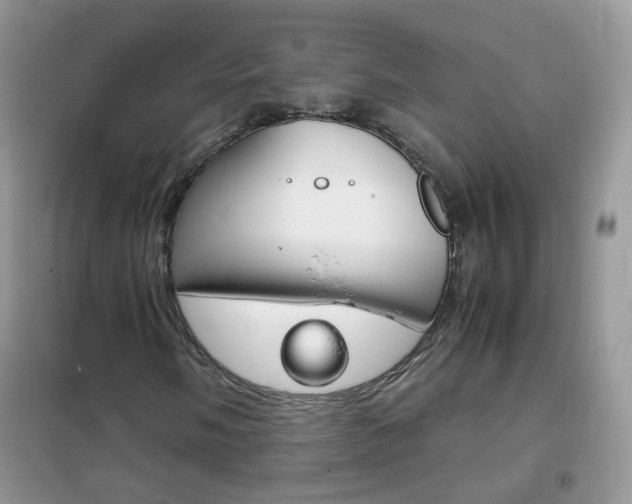 X0000102341058200808010907