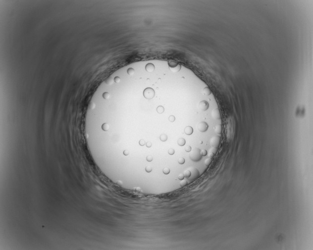 X0000102341059200808010907