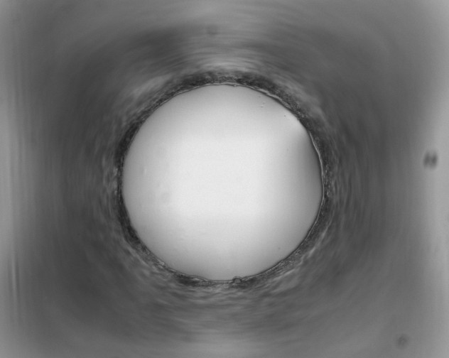 X0000102341061200808010907