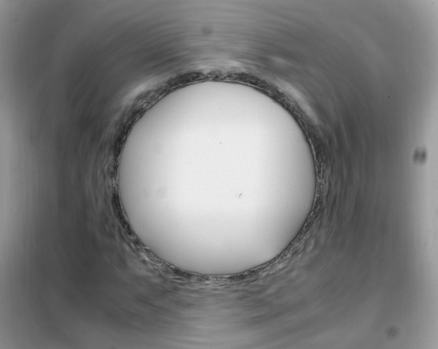 X0000102341063200808010907