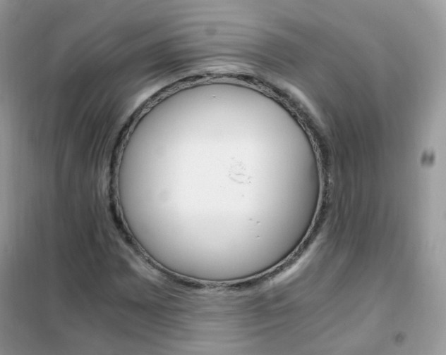 X0000102341065200808010907