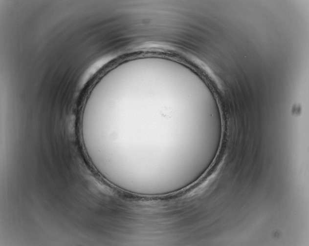 X0000102341066200808010907