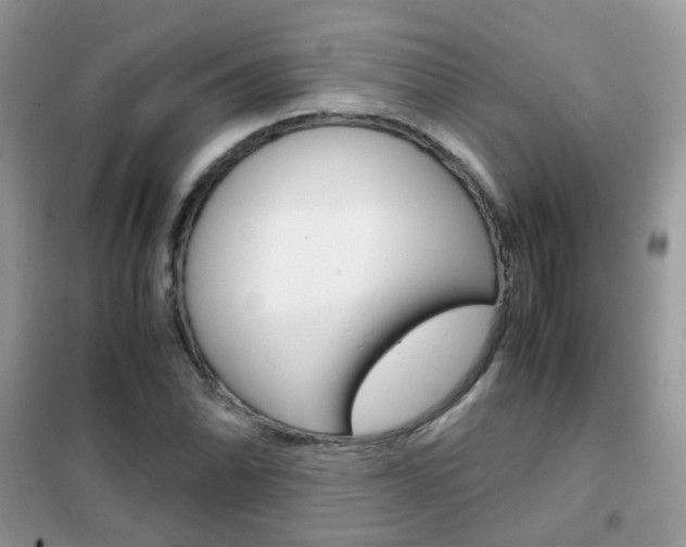 X0000102341070200808010907
