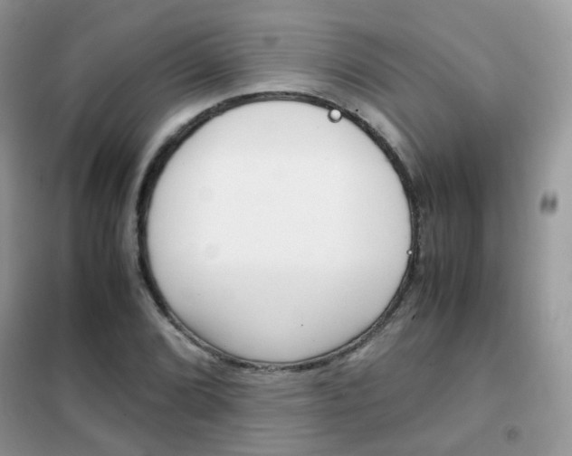 X0000102341072200808010907
