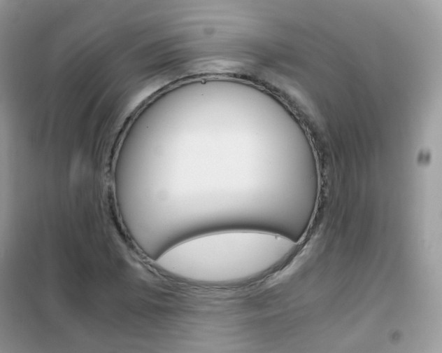 X0000102341073200808010907
