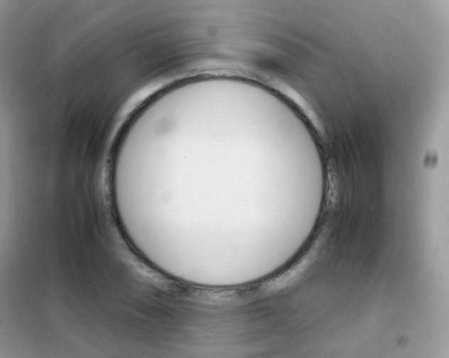 X0000102341074200808010907