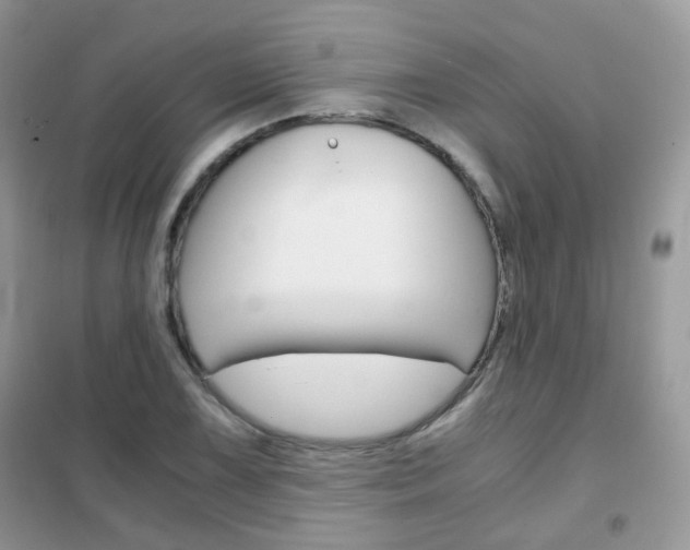 X0000102341075200808010907