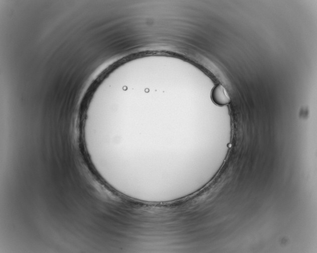 X0000102341076200808010907