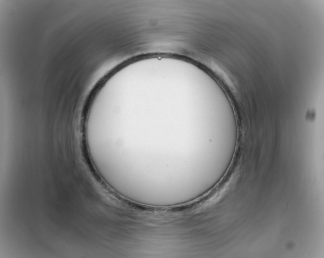 X0000102341077200808010907