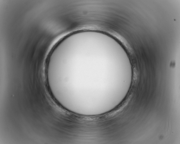 X0000102341078200808010907