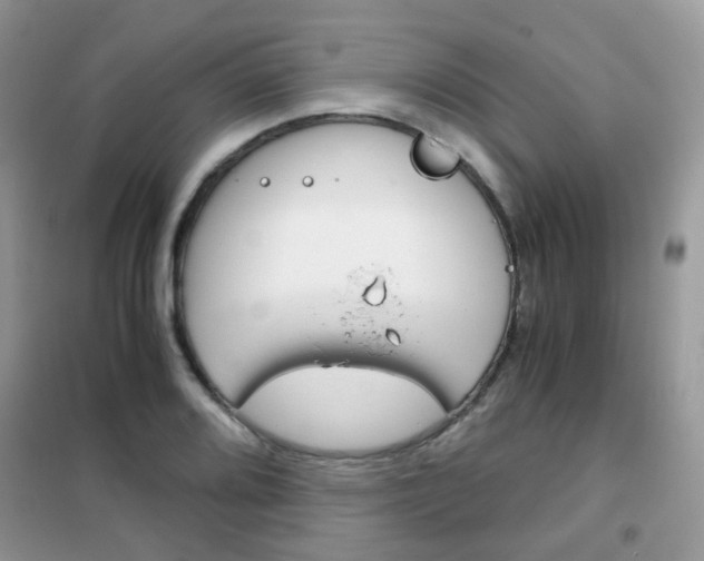 X0000102341080200808010907