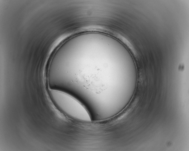 X0000102341082200808010907