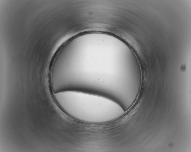 X0000102341085200808010907