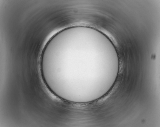 X0000102341086200808010907