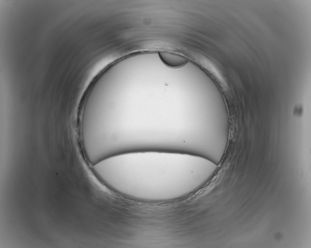 X0000102341087200808010907