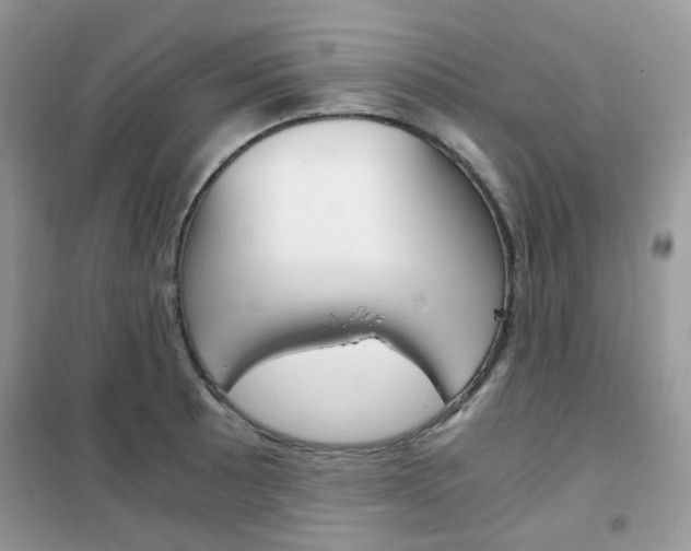 X0000102341089200808010907