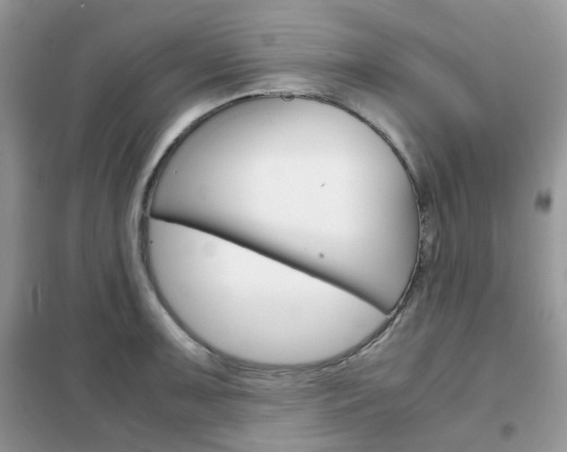 X0000102341091200808010907