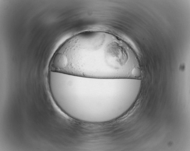 X0000102341095200808010907