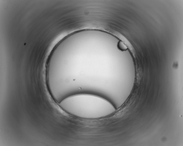 X0000102341096200808010907