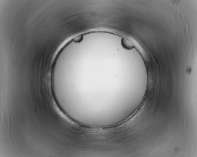 X0000102341100200808010907