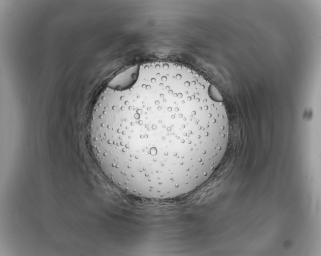 X0000102341105200808010906