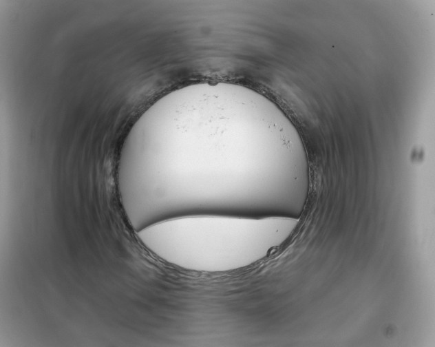 X0000102341106200808010906