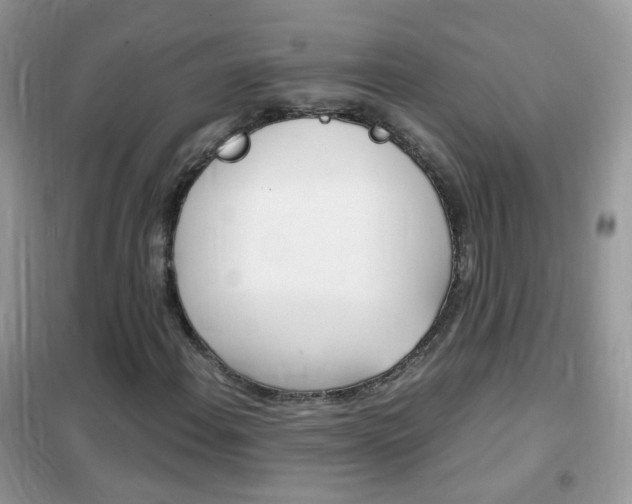 X0000102341108200808010906