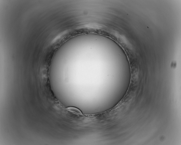 X0000102341110200808010906