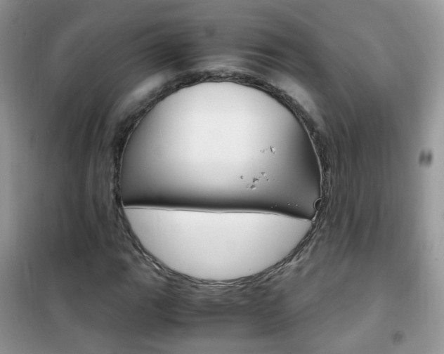 X0000102341111200808010906