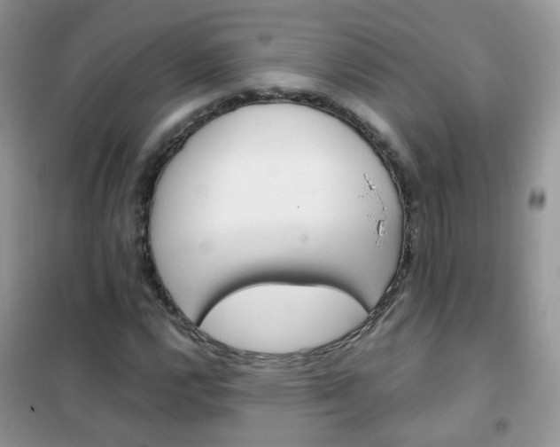 X0000102341112200808010906
