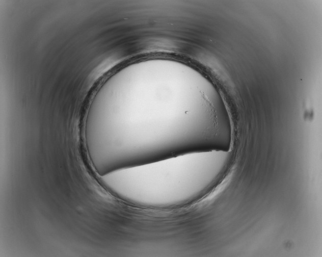 X0000102341113200808010906