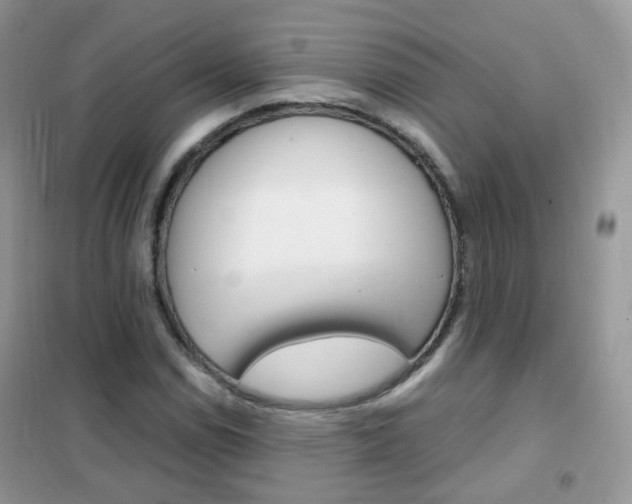 X0000102341114200808010906