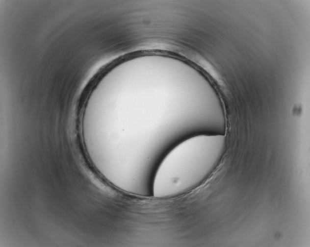 X0000102341116200808010906