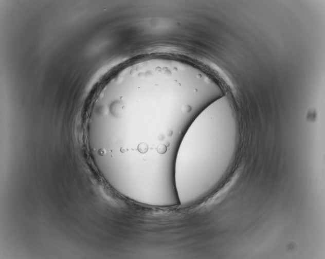 X0000102341117200808010906