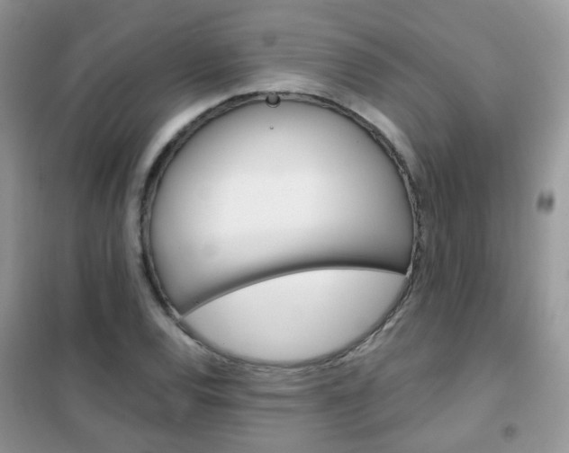 X0000102341120200808010906