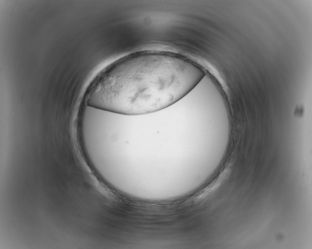 X0000102341125200808010906