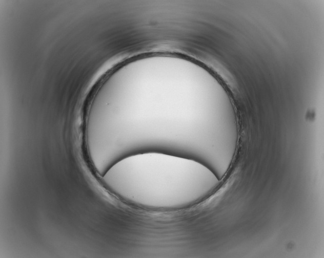 X0000102341126200808010906