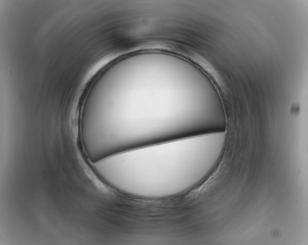 X0000102341127200808010906