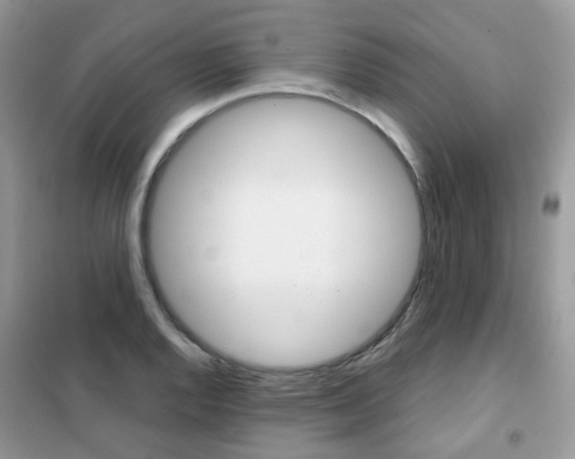 X0000102341128200808010906